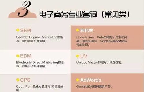 电子商务是啥类别专业的