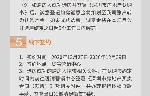 专业性电子商务费用包括