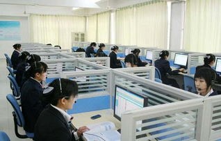 电子商务专业主要就业