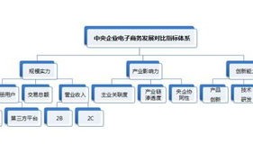 电子商务专业能进的央国企