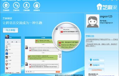 电子商务是我的专业翻译