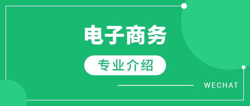 电子商务专业做开发好吗