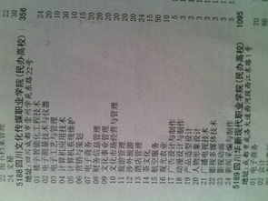 电子商务专业维语怎么说