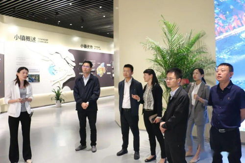 金山区专业性电子商务